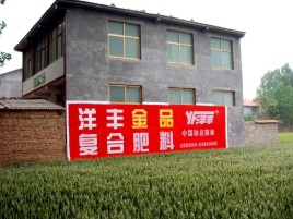 千阳如何让墙体广告展现最大化效果