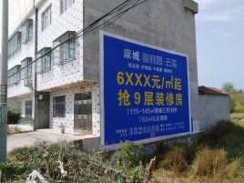 千阳墙体广告质量分析