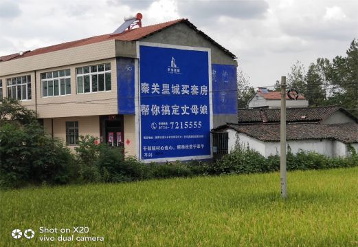 千阳决定墙体广告价格的因素有哪些？