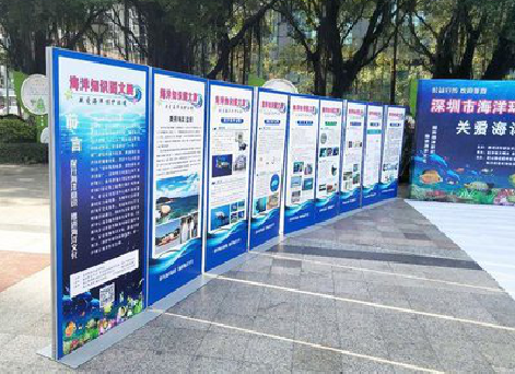 千阳KT板的种类和知识。